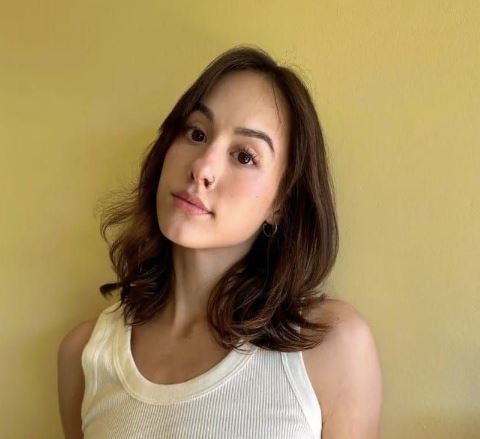 jules ari